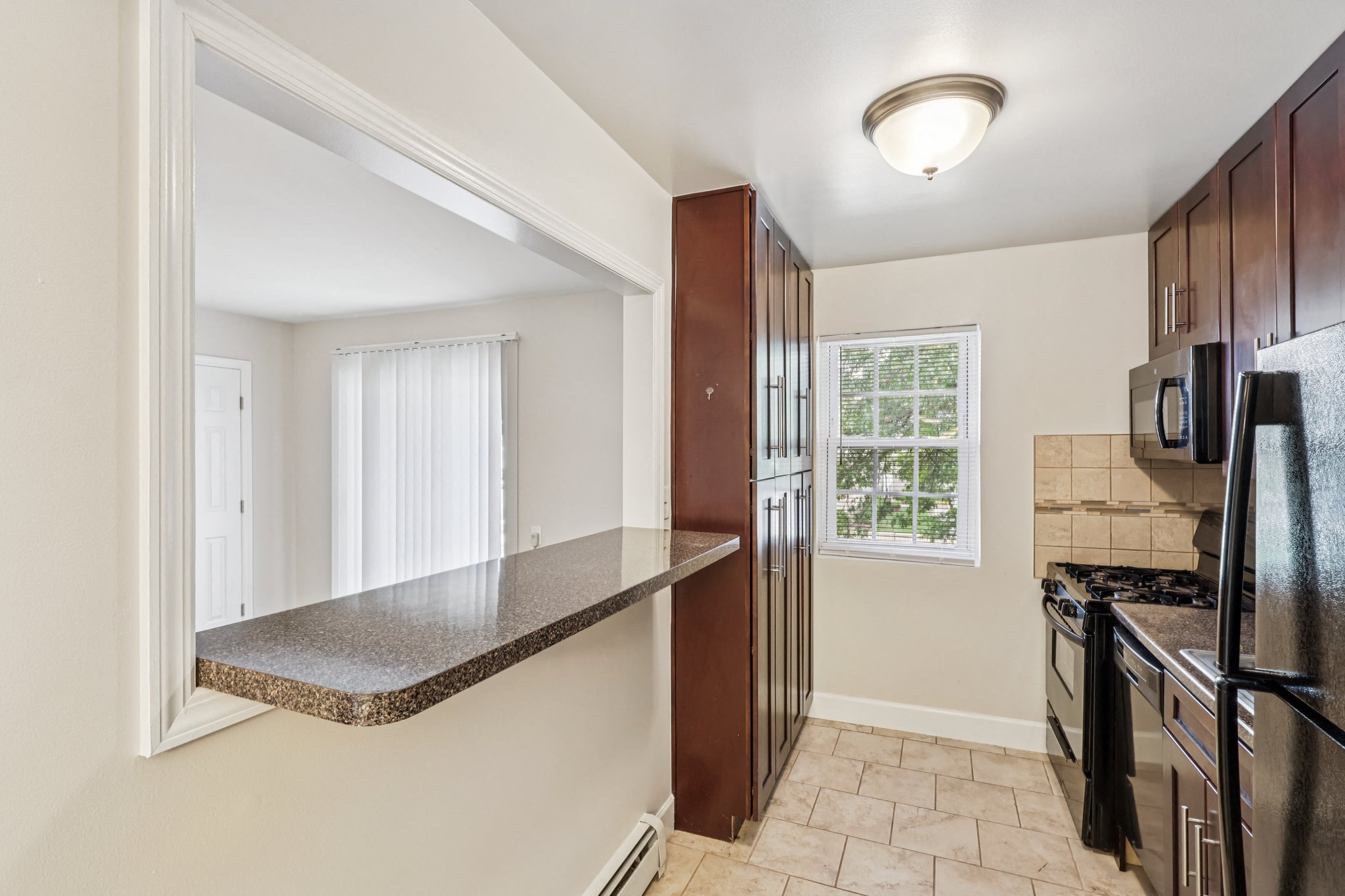 Gallery Photo 15